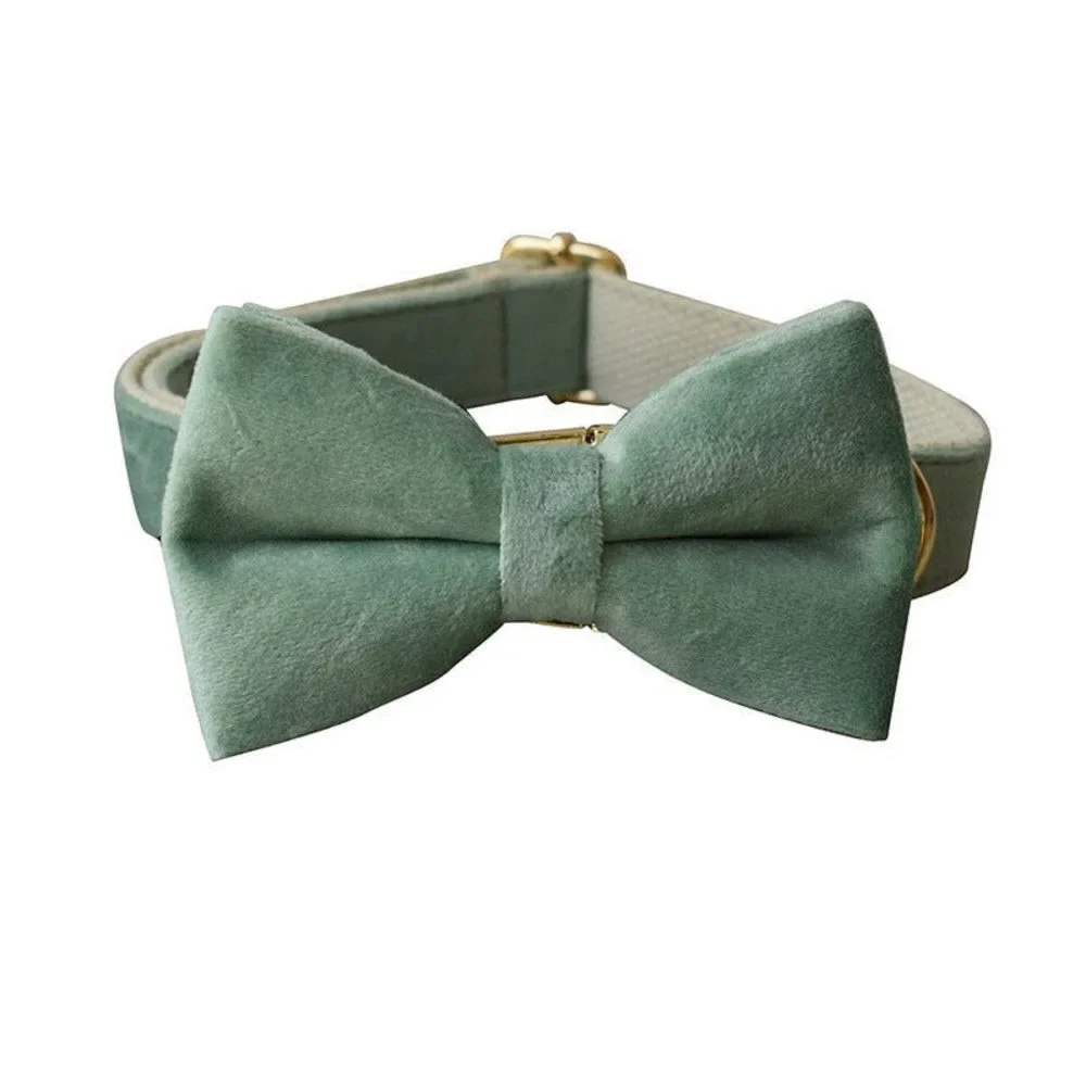 The Luxury Dog/Cat Set with Leash, Bow Tie, and Leash